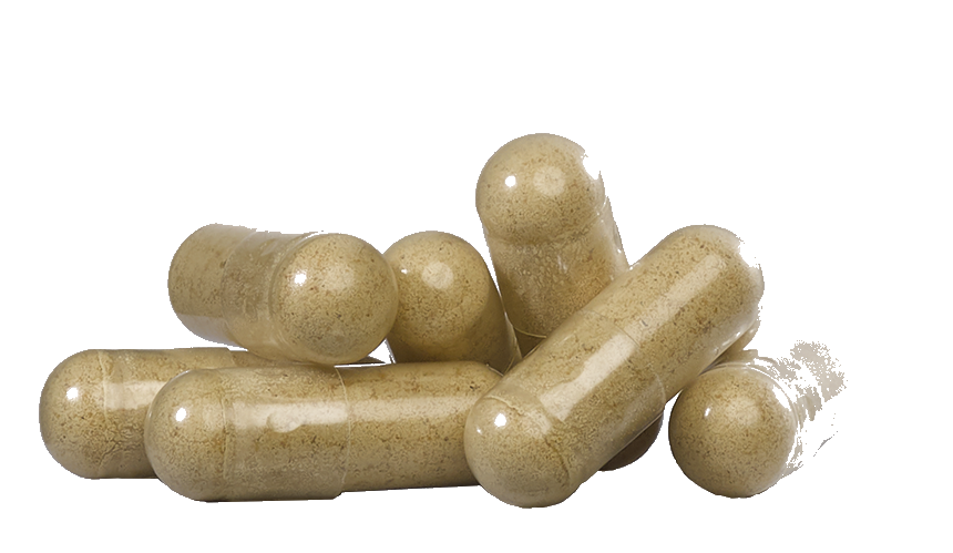 Freeze-dried beef organ capsules